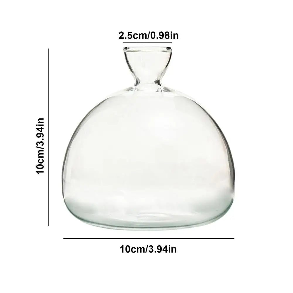 Avocado Seed Starter Vase Transparent Glass Vase Vase for Growing Plant Glass Seed Growing Kit for Gardening Lovers