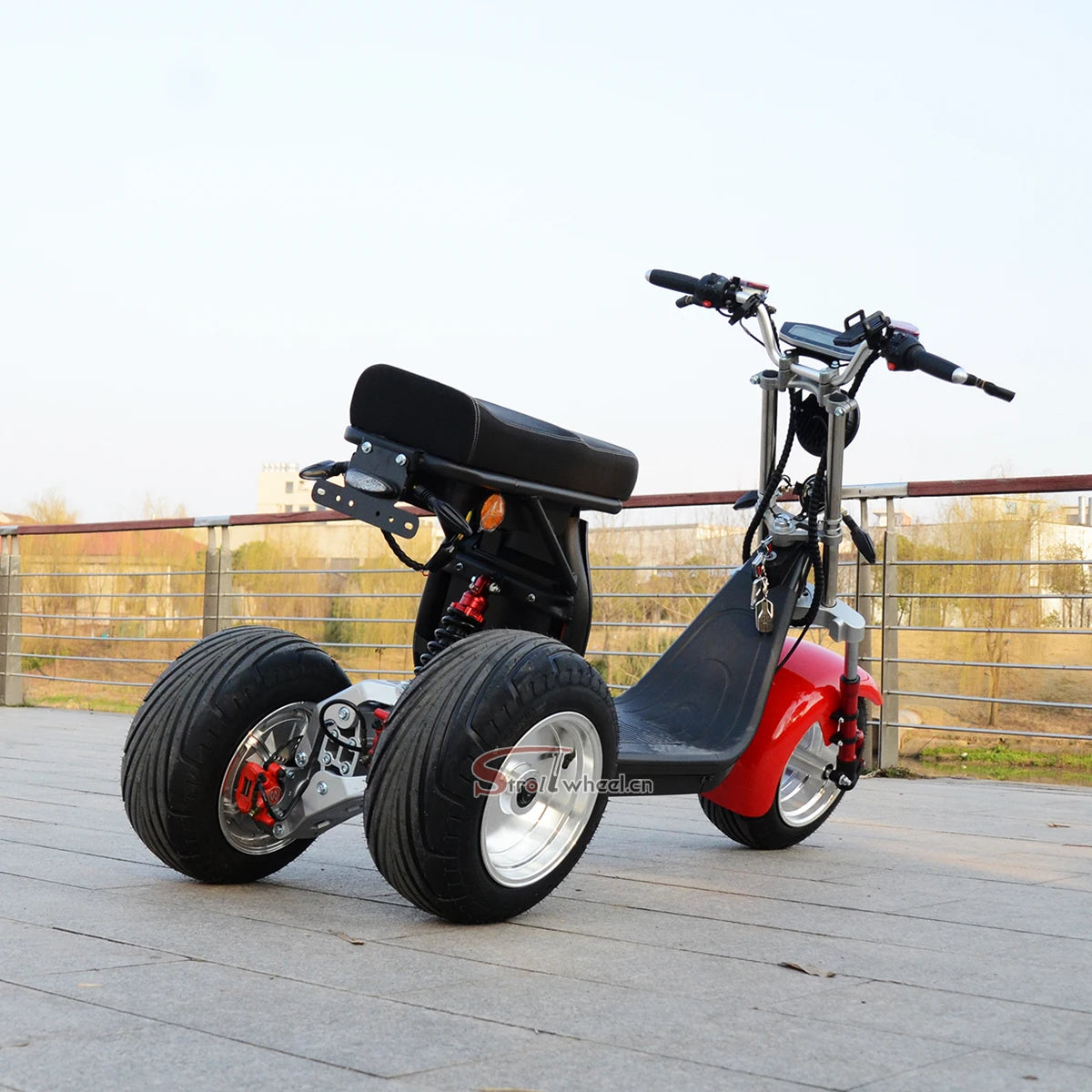 Approved Holland Warehouse citycoco electric tricycles 3 wheel high speed electric tricycle reverse electric motorcycle