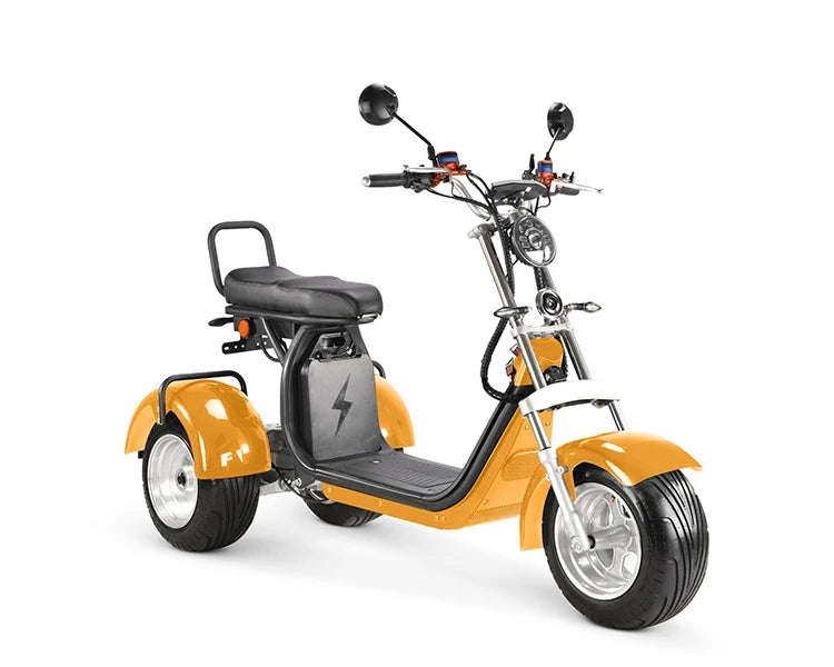Approved Holland Warehouse citycoco electric tricycles 3 wheel high speed electric tricycle reverse electric motorcycle