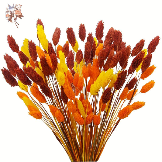 100Pcs Natural Dried Gem Grass Bouquet Jewelry Grass Phalaris Flower for Vase Filler Boho Home Table Wedding Party Decoration