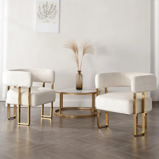 Modern Barrel Accent Chairs Set of 2 Living Room Side Chairs with Golden Metal Legs Soft Velvet Upholstered Reading Armchairs fo