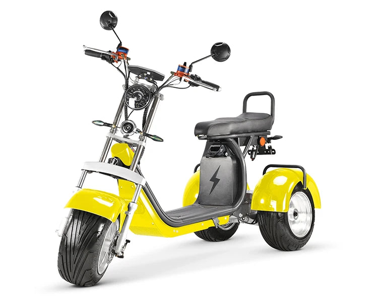 Approved Holland Warehouse citycoco electric tricycles 3 wheel high speed electric tricycle reverse electric motorcycle