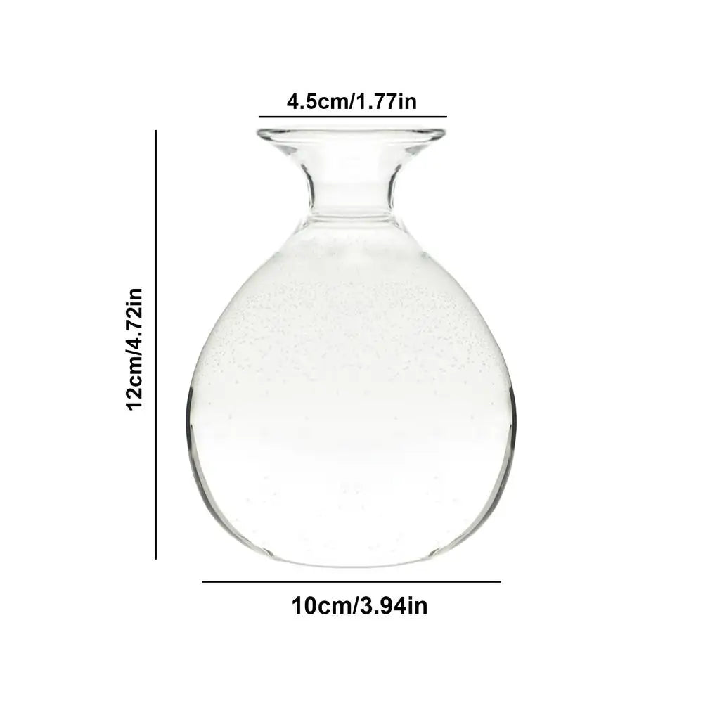 Avocado Seed Starter Vase Transparent Glass Vase Vase for Growing Plant Glass Seed Growing Kit for Gardening Lovers