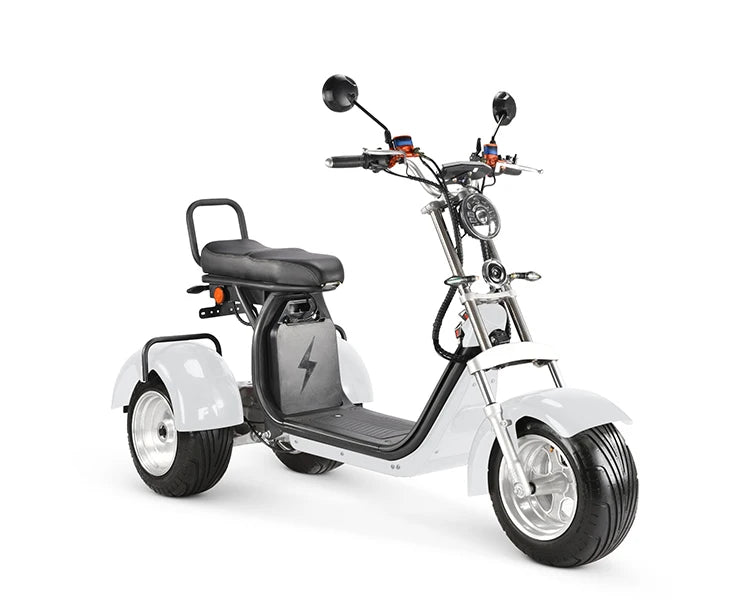 Approved Holland Warehouse citycoco electric tricycles 3 wheel high speed electric tricycle reverse electric motorcycle