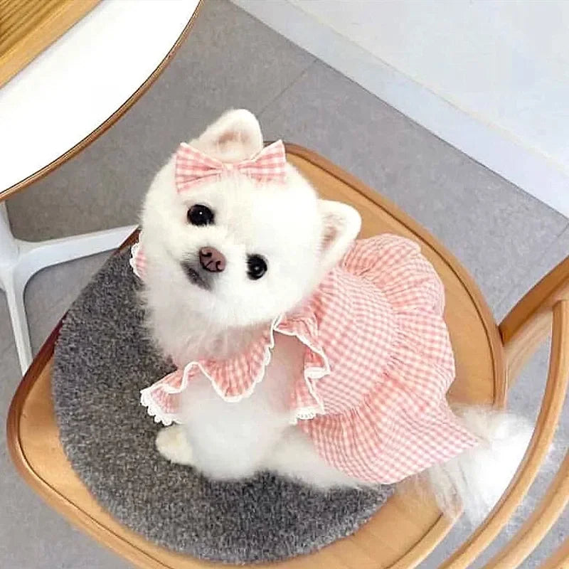 Puppy Bow Knot Dress Set Winter Warm Dog Clothes Pet Christmas Princess Dress Teddy Solid Color Skirt Send Clip