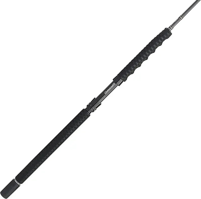 QPENN II &Carnage III Spinning Fishing Rod