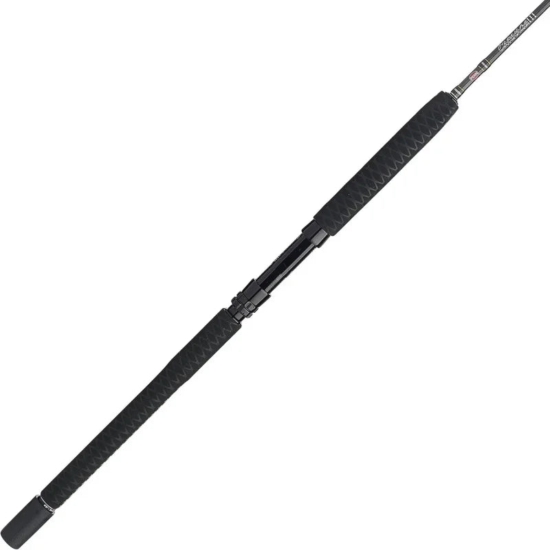 QPENN II &Carnage III Spinning Fishing Rod