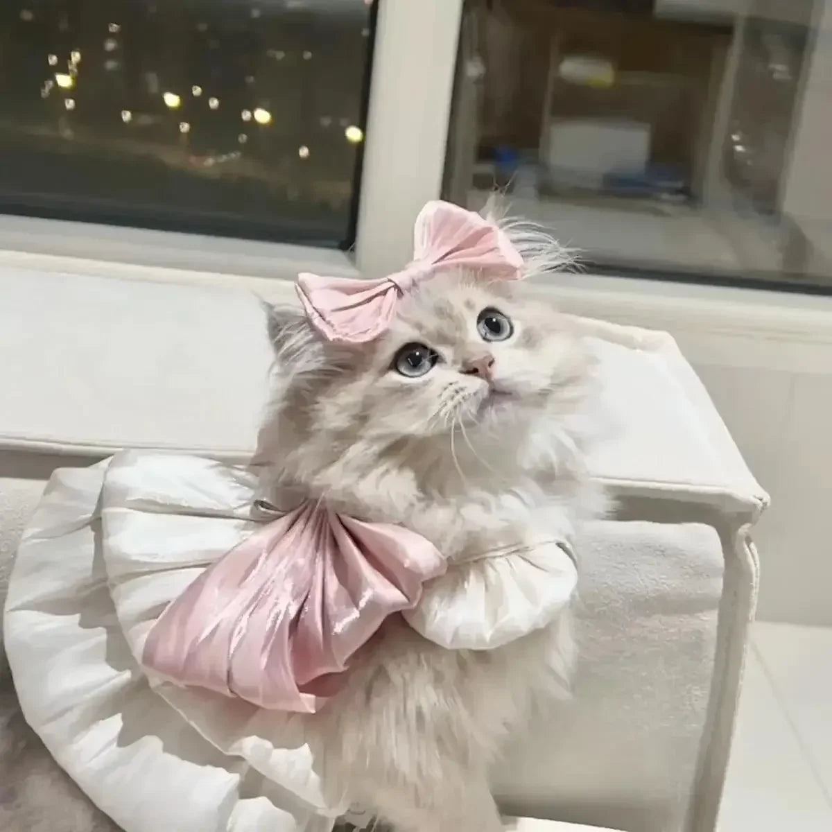 Pet Spring and Summer Flow Yarn Skirt Cats Dogs Pets Breathable Out Traction Thin Section of The Sun Dress Dog White Dress