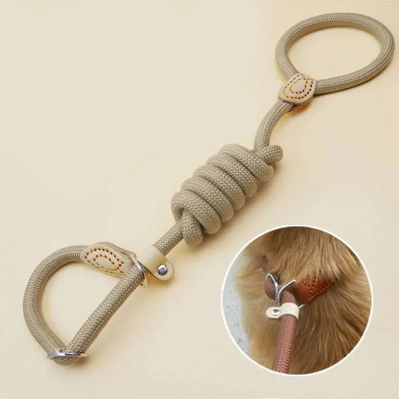 P Chain Dog Leash Slip Collar pet Walking Leads Nylon Dog Mountain Climbing Rope puppy pet Traction For small Medium Large Dogs
