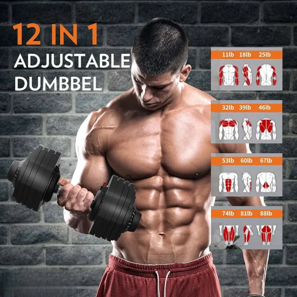 88LBS Adjustable Dumbbell Set with Anti-slip Handle 12 In 1 Quick Dial Adjustment Weights  for Full Body Home Gym Workout