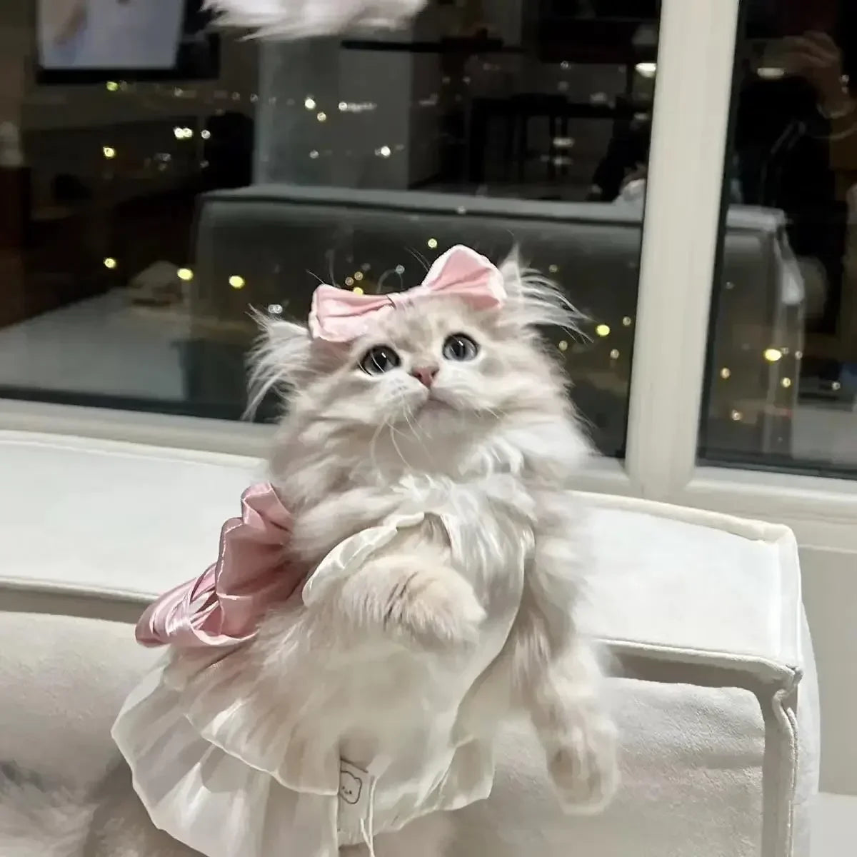 Pet Spring and Summer Flow Yarn Skirt Cats Dogs Pets Breathable Out Traction Thin Section of The Sun Dress Dog White Dress