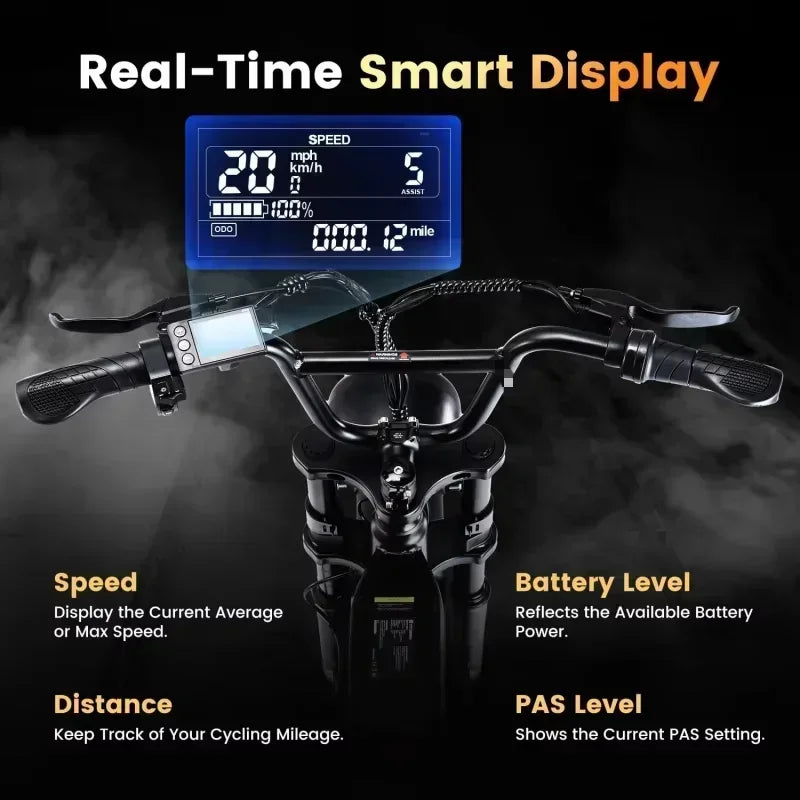 ACycRun Electric Bike 750W Motor with 374.4WH Battery, 20MPH 55Miles Moped Style Ebike for Adults, 20" Fat Tire Co