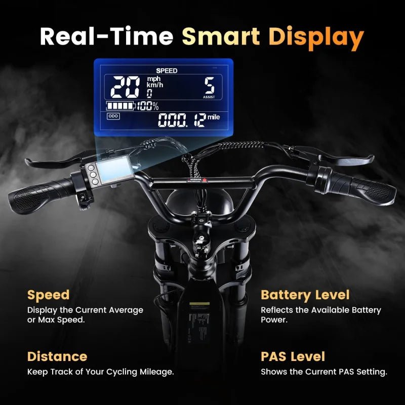 ACycRun Electric Bike 750W Motor with 374.4WH Battery, 20MPH 55Miles Moped Style Ebike for Adults, 20" Fat Tire Co