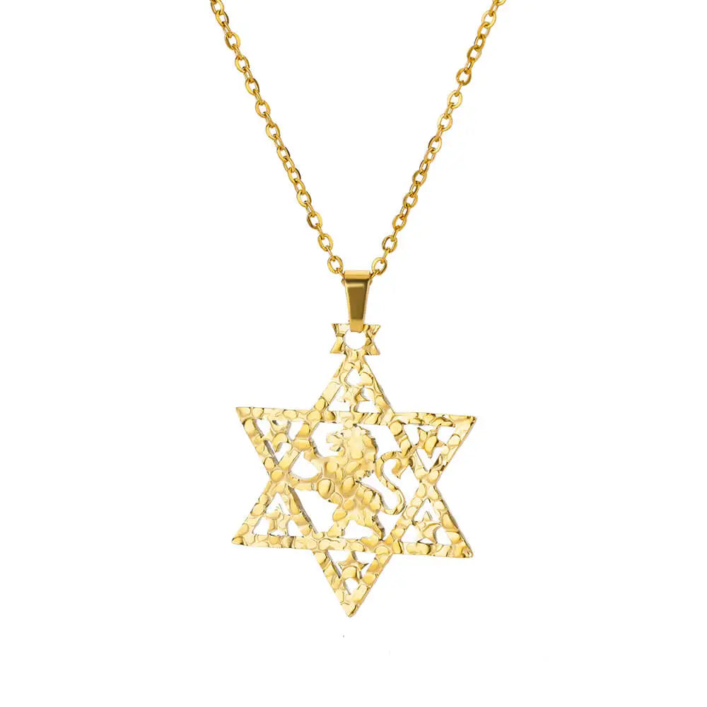Lion Star of David Necklaces For Women Men Gold Color Stainless Steel Pendant Necklace Male Female Neck Chain Jewelry