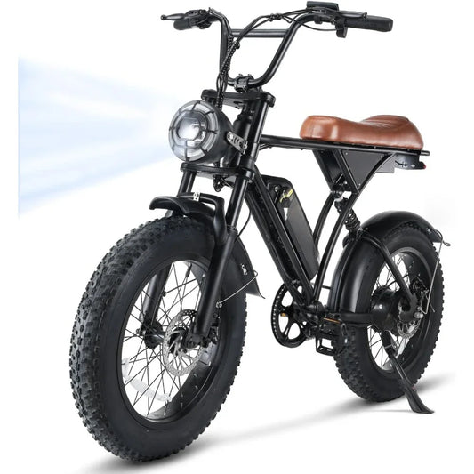 Electric Bike for Adults 750W Motor, 20" Fat Tire Commuting Off Road Mountain Ebike with Hydraulic Suspension