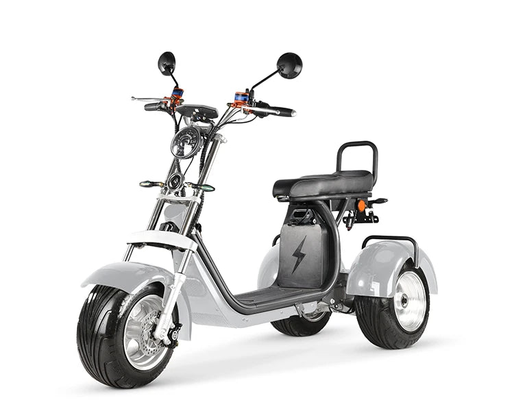 Approved Holland Warehouse citycoco electric tricycles 3 wheel high speed electric tricycle reverse electric motorcycle