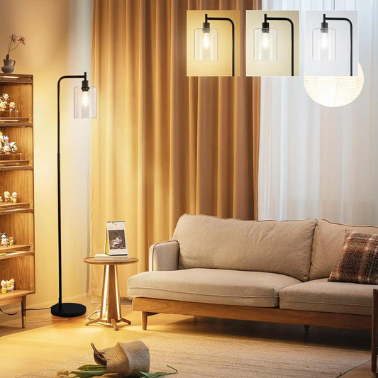 Industrial Floor Lamp Dimmable Modern Floor Lamp With Transparent Glass Shade ,Remote Control And Foot Switch, 6w Spotlight