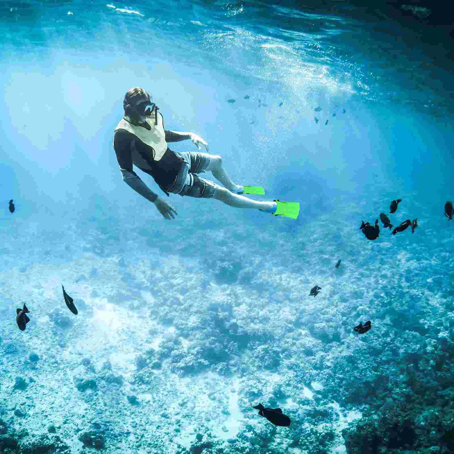 Swim Fins Snorkeling Gear for Adults Short Swimming Diving Rubber Flippers Unisex Durable Men and Women