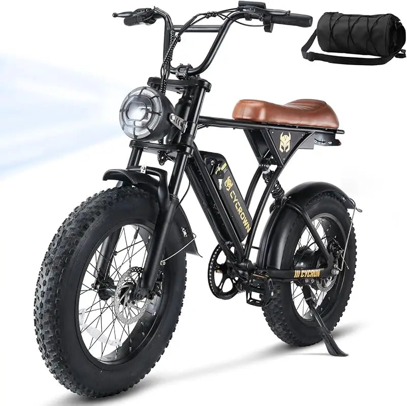 ACycRun Electric Bike 750W Motor with 374.4WH Battery, 20MPH 55Miles Moped Style Ebike for Adults, 20" Fat Tire Co