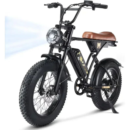 ACycRun Electric Bike 750W Motor with 374.4WH Battery, 20MPH 55Miles Moped Style Ebike for Adults, 20" Fat Tire Co