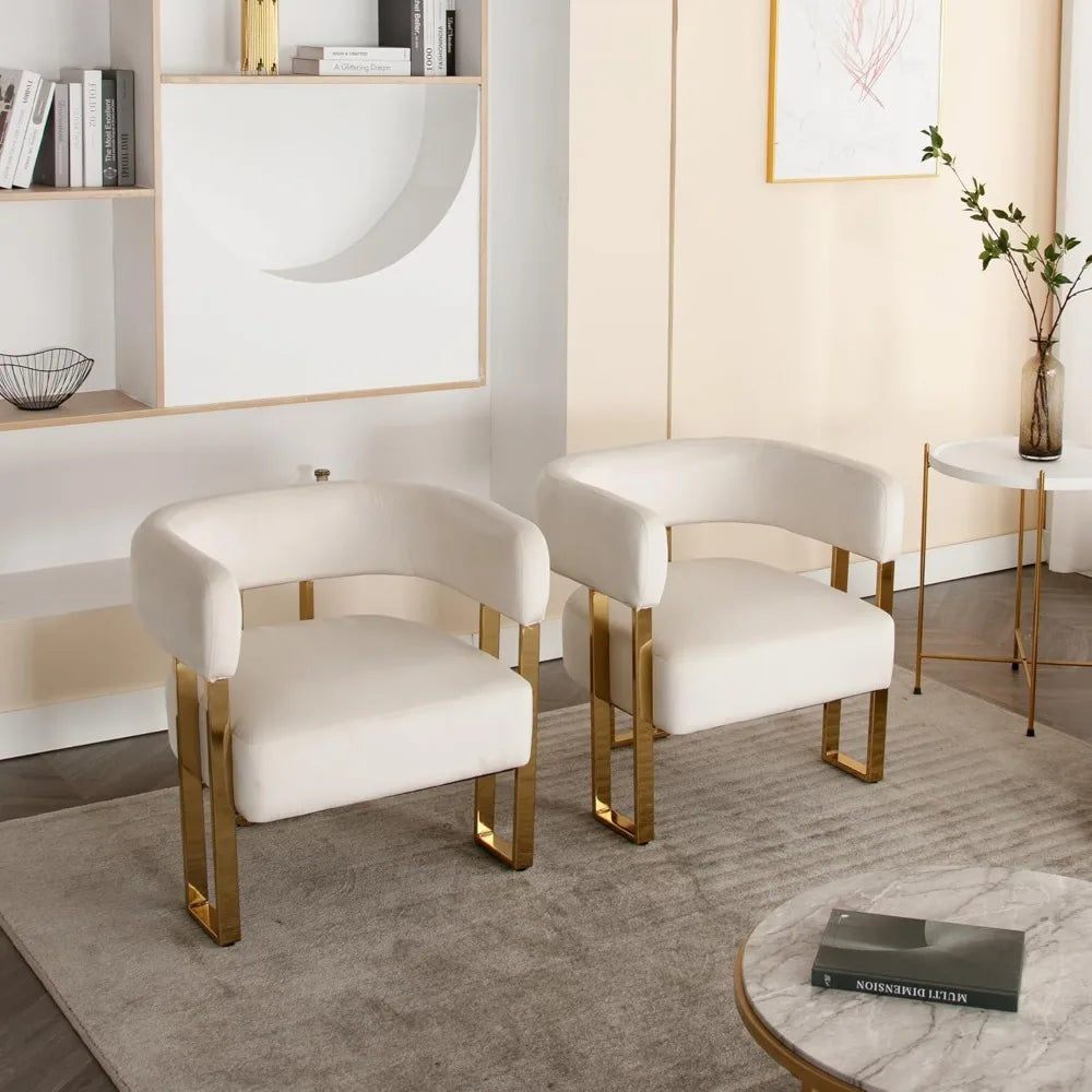Modern Barrel Accent Chairs Set of 2 Living Room Side Chairs with Golden Metal Legs Soft Velvet Upholstered Reading Armchairs fo