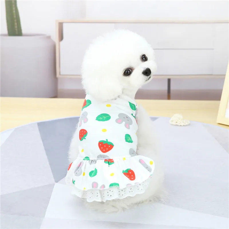 Summer Cotton Cat Dress Skirt Cute Pineapple Cherry Print Pet Clothes Dresses for Cats Sphynx Dog kedi elbisesi ropa para gatos