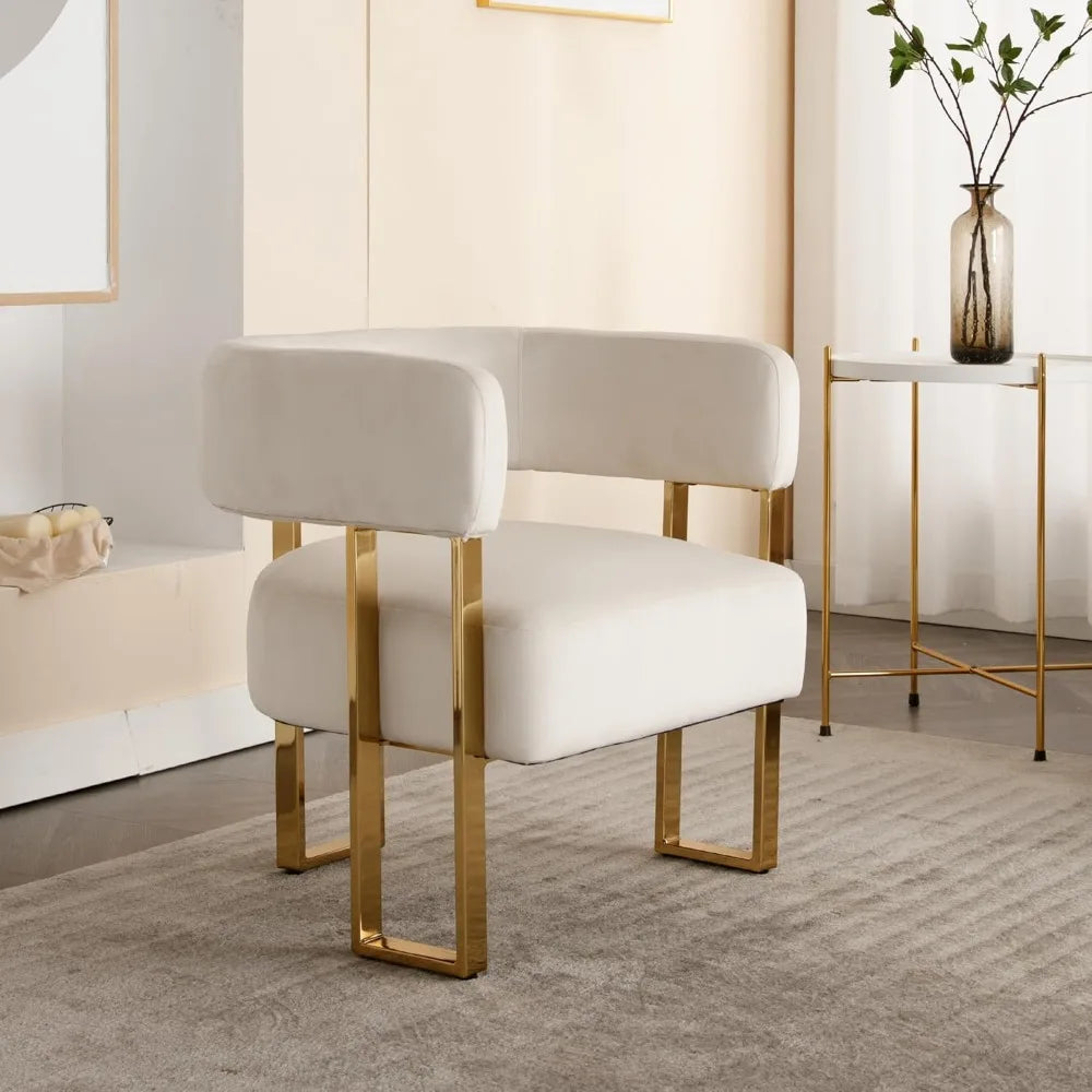 Modern Barrel Accent Chairs Set of 2 Living Room Side Chairs with Golden Metal Legs Soft Velvet Upholstered Reading Armchairs fo