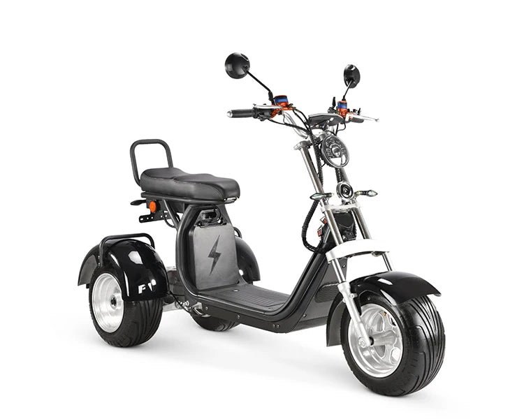 Approved Holland Warehouse citycoco electric tricycles 3 wheel high speed electric tricycle reverse electric motorcycle