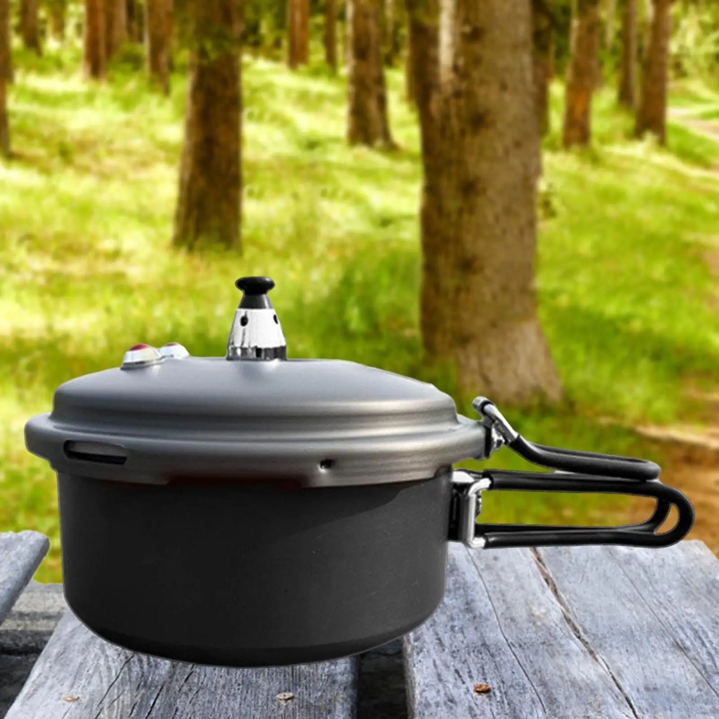 Camping Pressure Cooker Portable Small Rice Cooker for Home Outdoor Kitchen