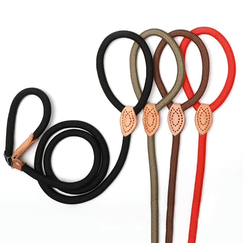 P Chain Dog Leash Slip Collar pet Walking Leads Nylon Dog Mountain Climbing Rope puppy pet Traction For small Medium Large Dogs