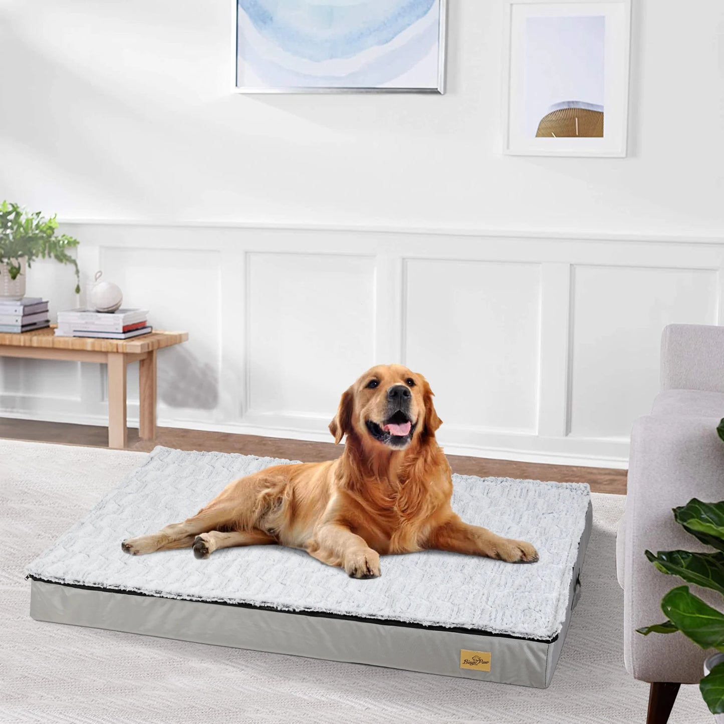 Dog Pet Sleeping Bed Waterproof Rectangle Sponge Foam Pet Bedding with Washable Cover for Medium n Large Dogs