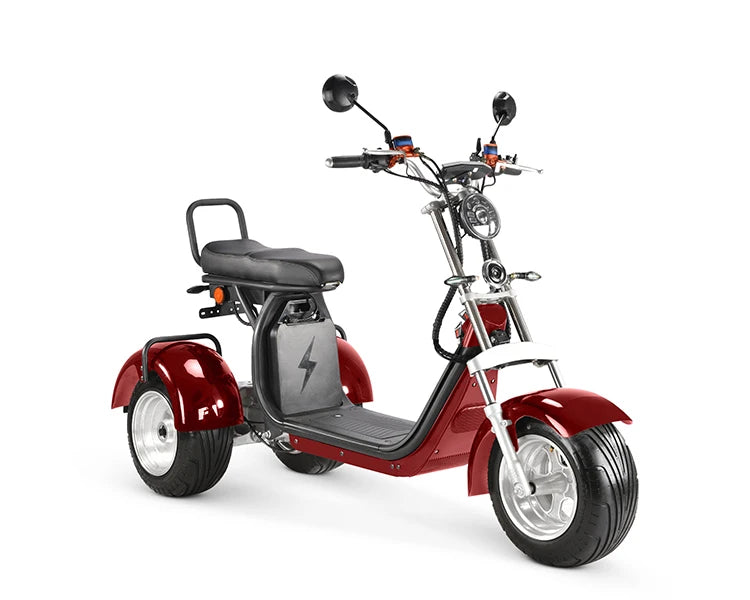 Approved Holland Warehouse citycoco electric tricycles 3 wheel high speed electric tricycle reverse electric motorcycle