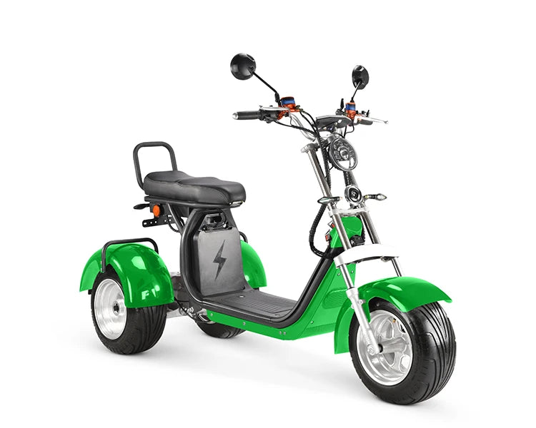 Approved Holland Warehouse citycoco electric tricycles 3 wheel high speed electric tricycle reverse electric motorcycle