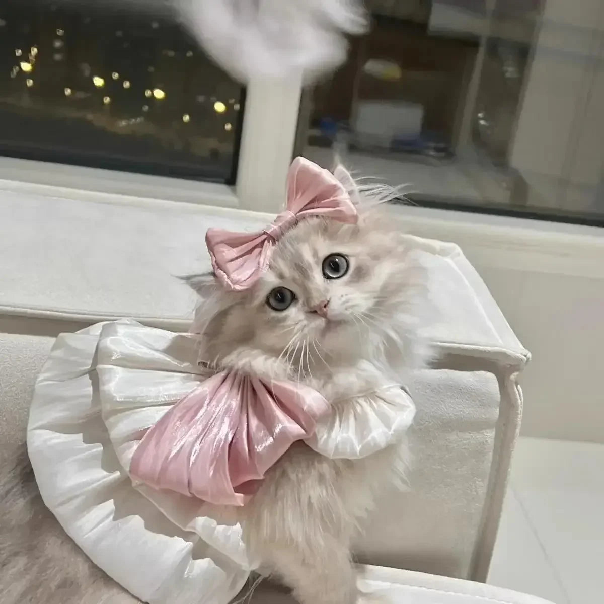 Pet Spring and Summer Flow Yarn Skirt Cats Dogs Pets Breathable Out Traction Thin Section of The Sun Dress Dog White Dress