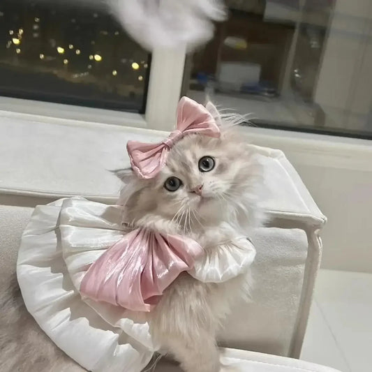 Pet Spring and Summer Flow Yarn Skirt Cats Dogs Pets Breathable Out Traction Thin Section of The Sun Dress Dog White Dress