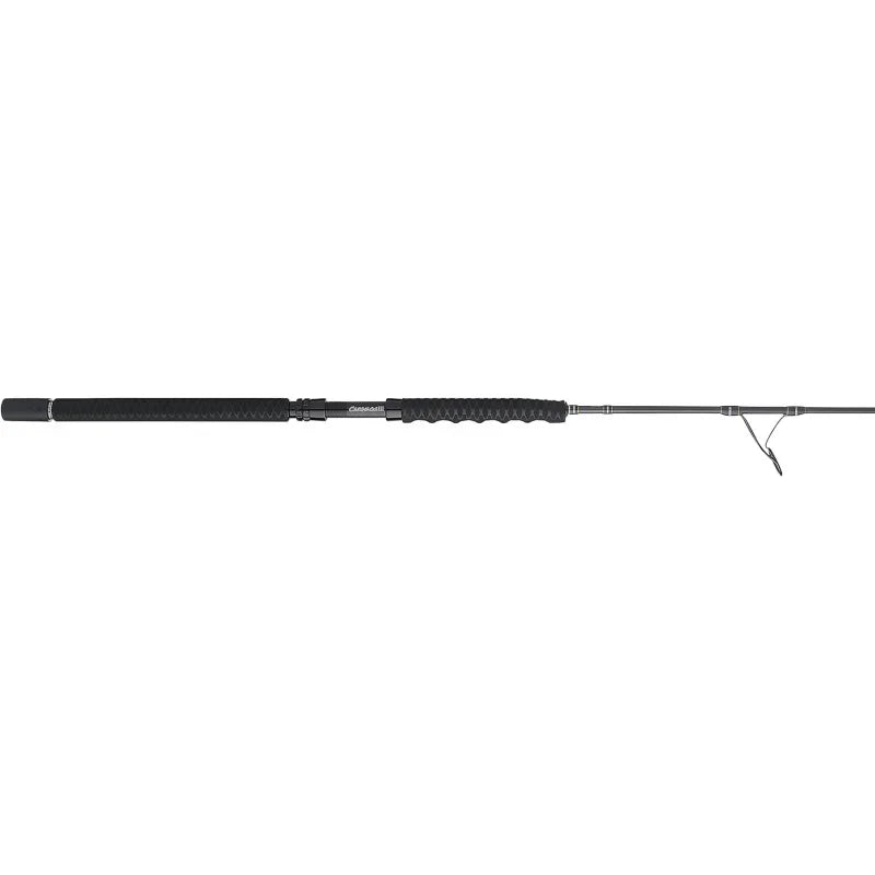 QPENN II &Carnage III Spinning Fishing Rod