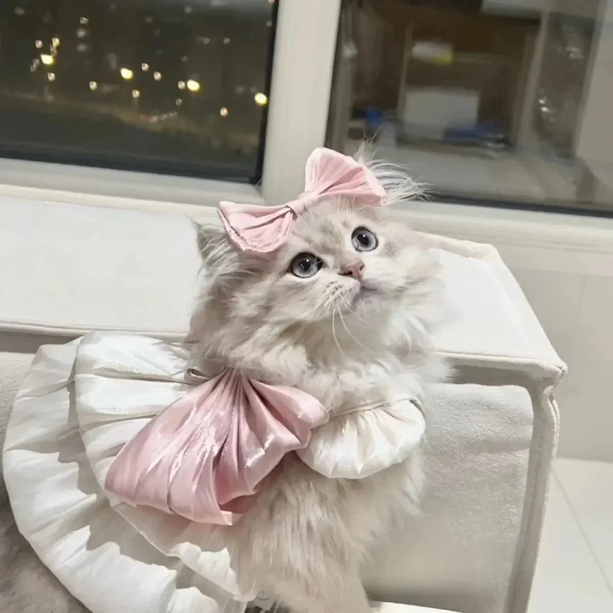 Pet Spring and Summer Flow Yarn Skirt Cats Dogs Pets Breathable Out Traction Thin Section of The Sun Dress Dog White Dress