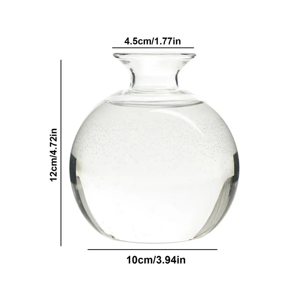 Avocado Seed Starter Vase Transparent Glass Vase Vase for Growing Plant Glass Seed Growing Kit for Gardening Lovers